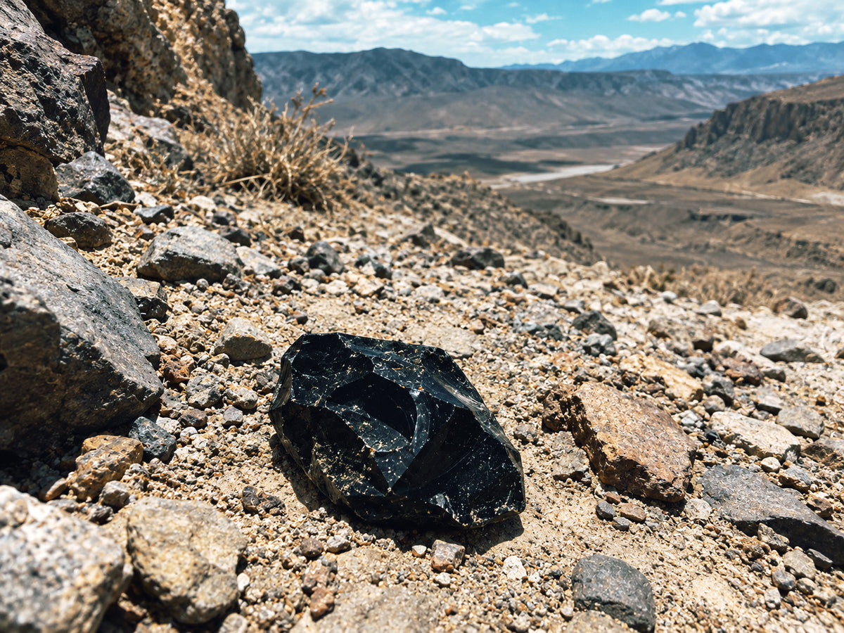 It Started With a Stone